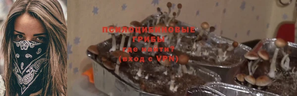 альфа пвп Магас