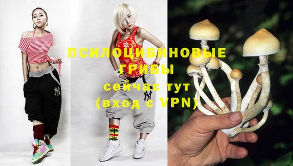 альфа пвп Магас