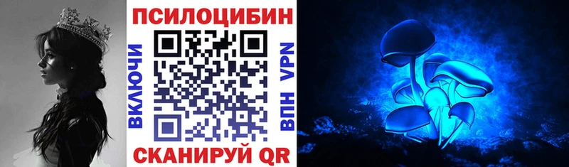 Галлюциногенные грибы мицелий  Купить  Салаир 